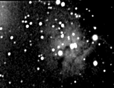 NGC 2264