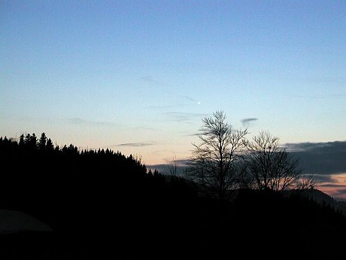 Venus in der D&auml;mmerung