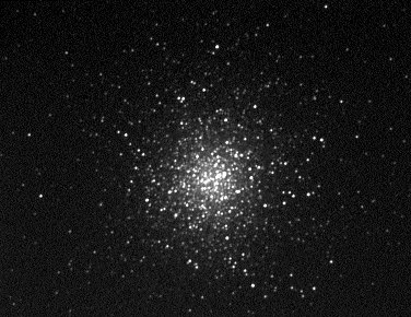M13