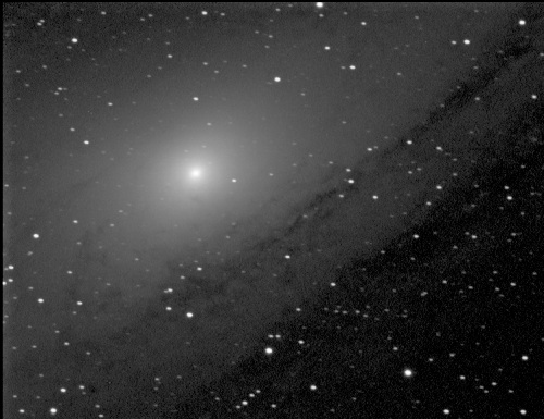 M31