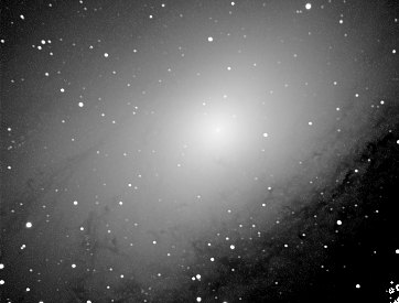M31