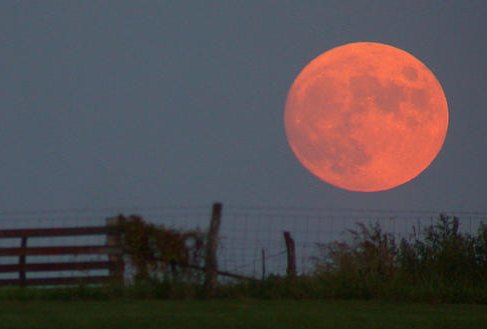 Harvest Moon